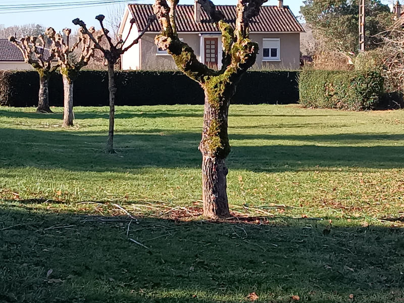 Maison - 190 m² - 7 pièces