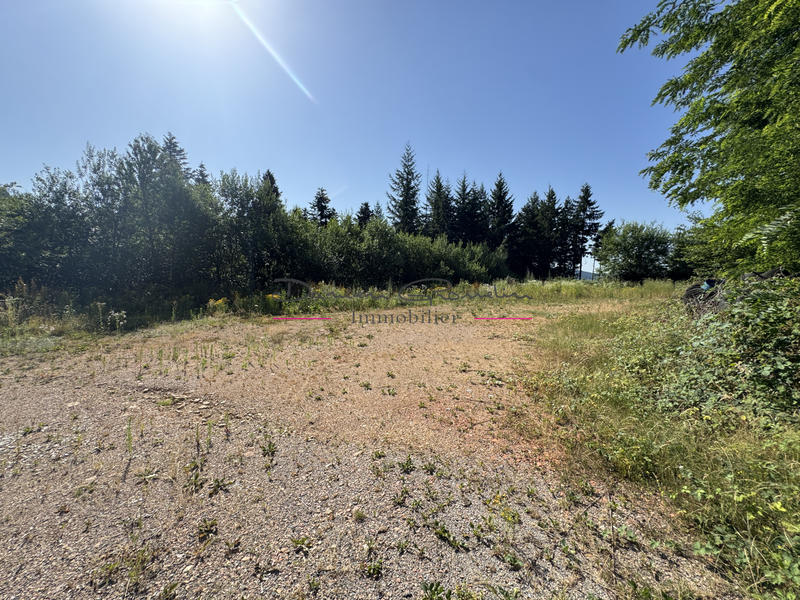 Local commercial - 310 m²