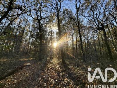 Maison de campagne - 150 m² - 5 pièces