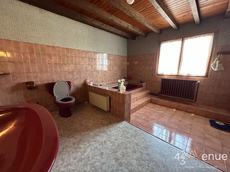 Maison - 223 m² - 8 pièces