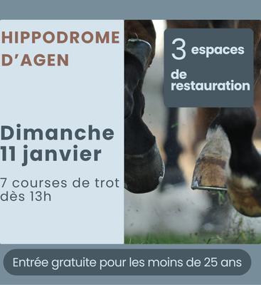 Courses de chevaux