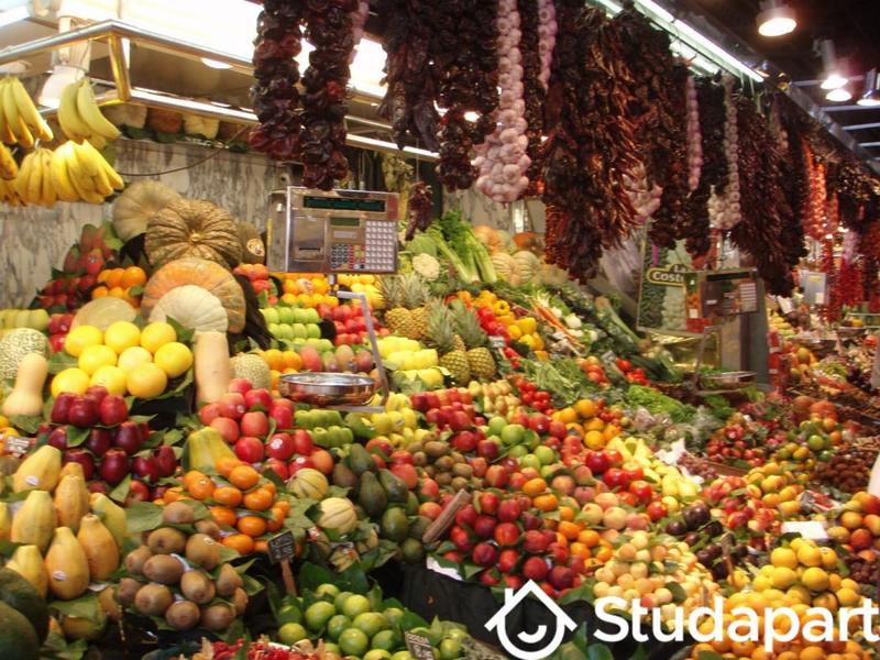 Maison - 19 m² - 2 pièces