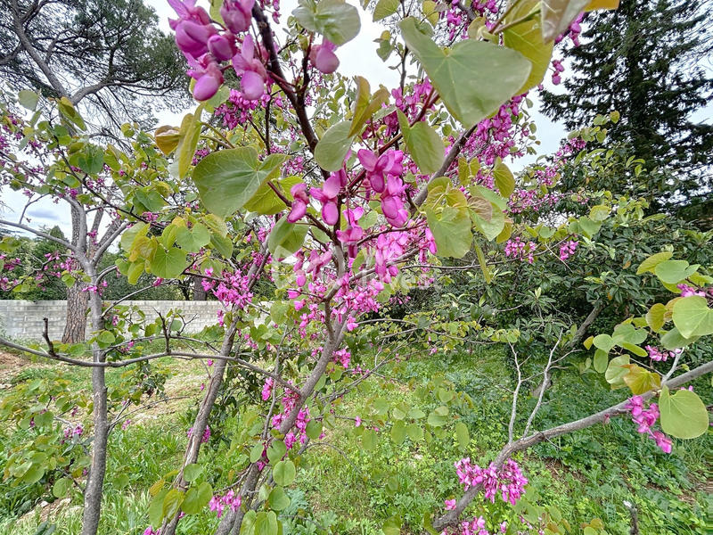 Villa - 157 m² - 4 pièces