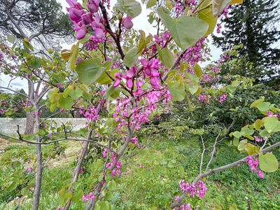 Villa - 157 m² - 4 pièces