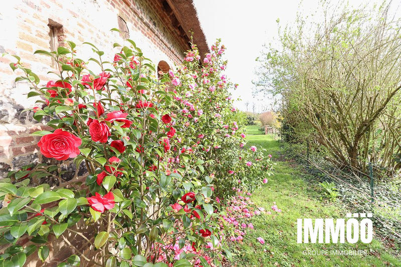 Maison ancienne - 193 m² - 5 pièces