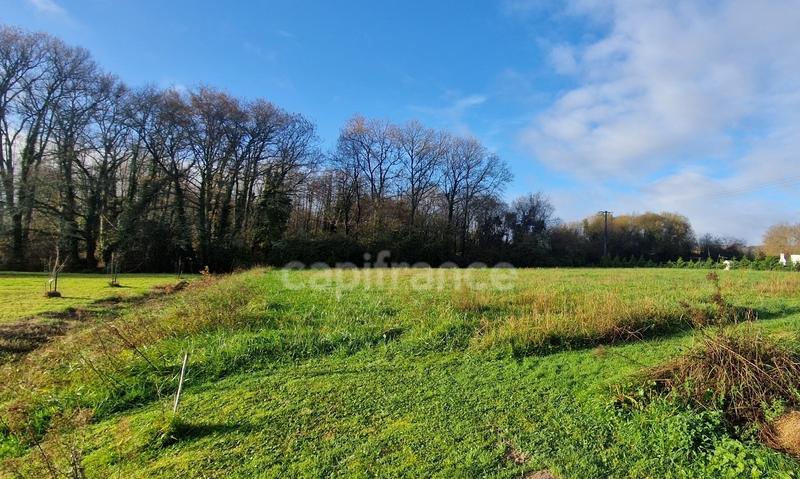 Terrain constructible - 2 600 m²