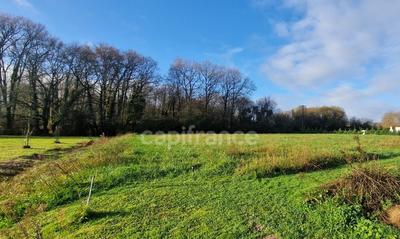 Terrain constructible - 2 600 m²