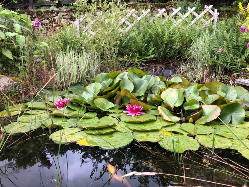 Maison ancienne - 130 m² - 6 pièces