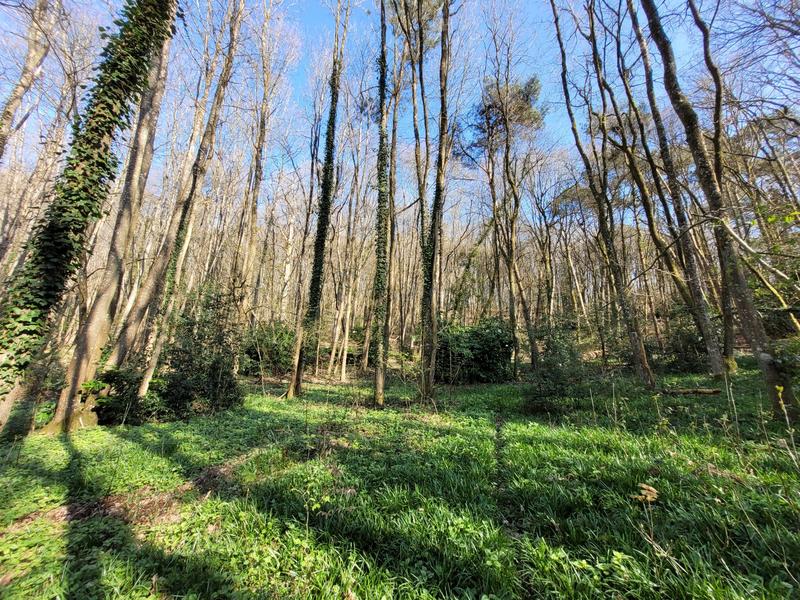 Maison ancienne - 163 m² - 6 pièces