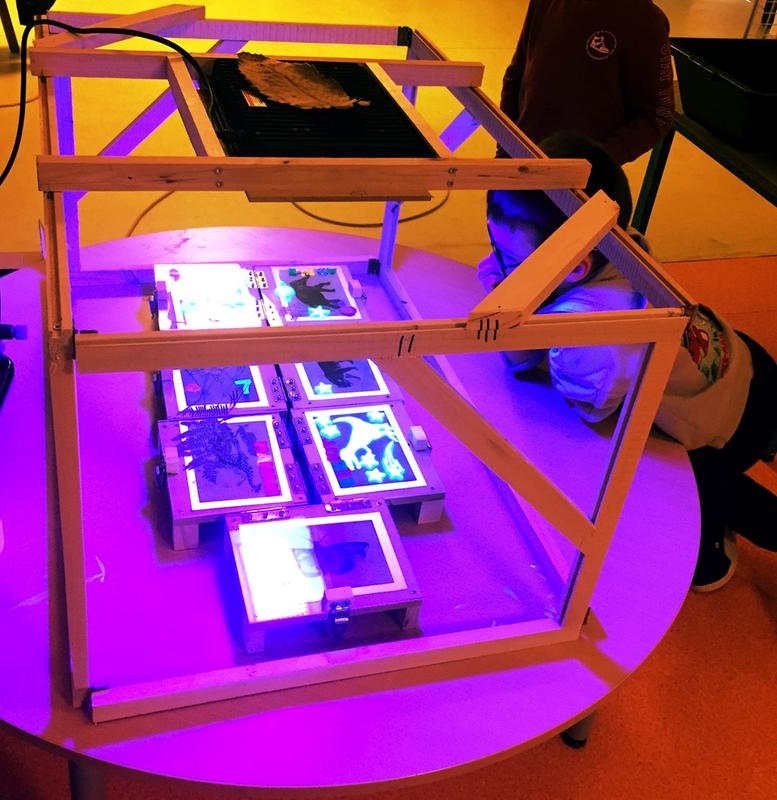 Atelier cyanotype sur papier