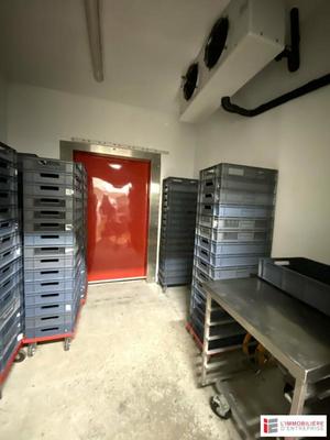 Local d'activité / Entrepôt - 500 m²