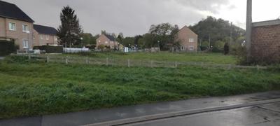 Terrain constructible