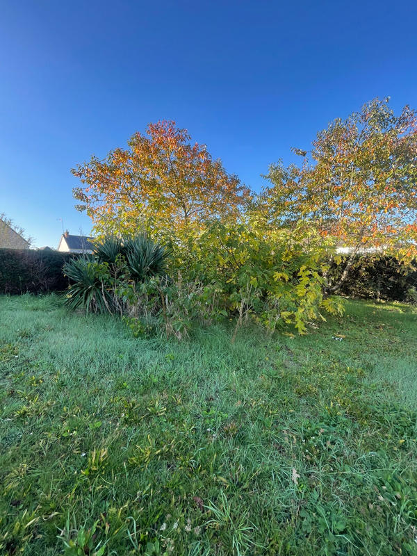 Maison - 86 m² - 4 pièces