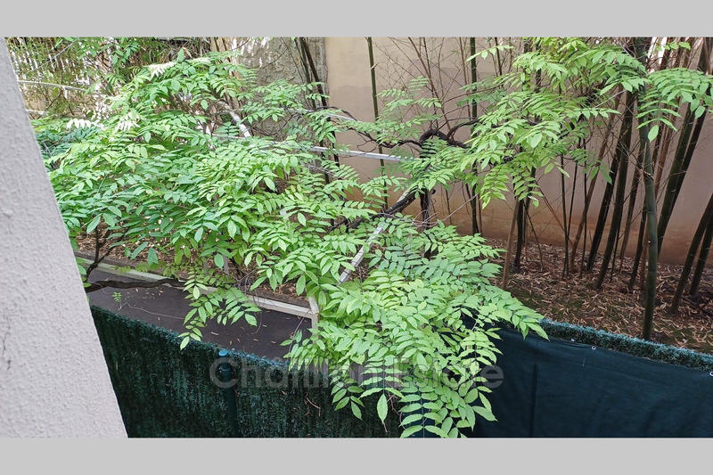 Appartement - 17 m² - 1 pièce