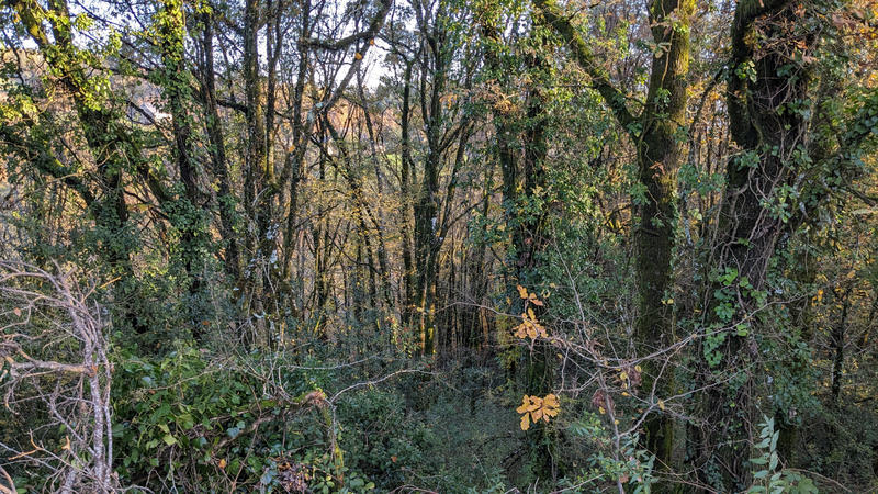 Terrain agricole - 58 891 m²