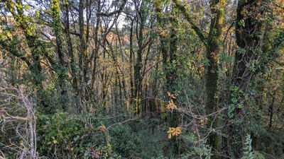 Terrain agricole - 58 891 m²