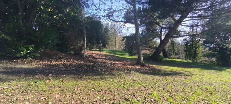 Maison ancienne - 241 m² - 5 pièces