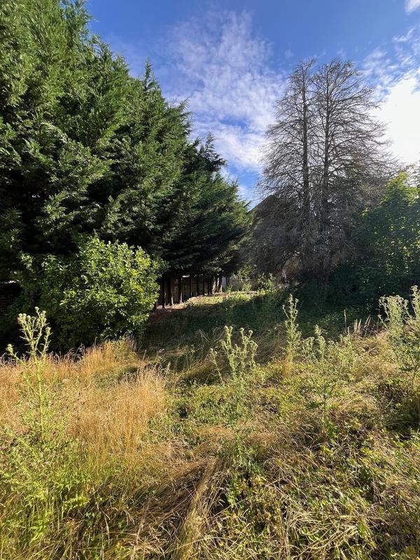 Maison ancienne - 141 m² - 8 pièces