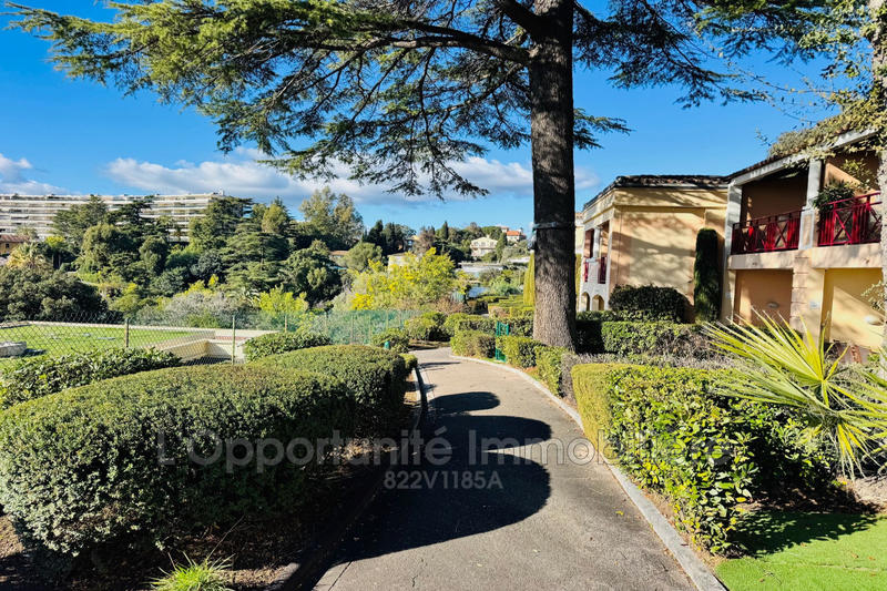 Appartement - 35 m² - 3 pièces