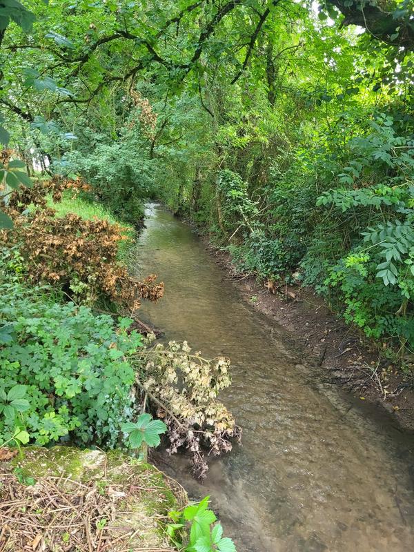 Maison ancienne - 202 m² - 9 pièces