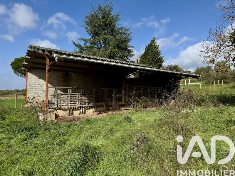 Terrain - 12 710 m²