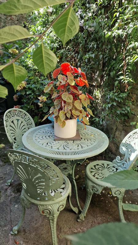 Maison - 65 m² - 3 pièces