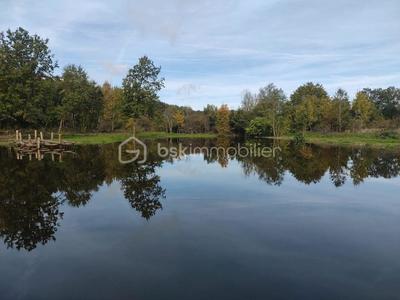 Étang - 27 010 m²