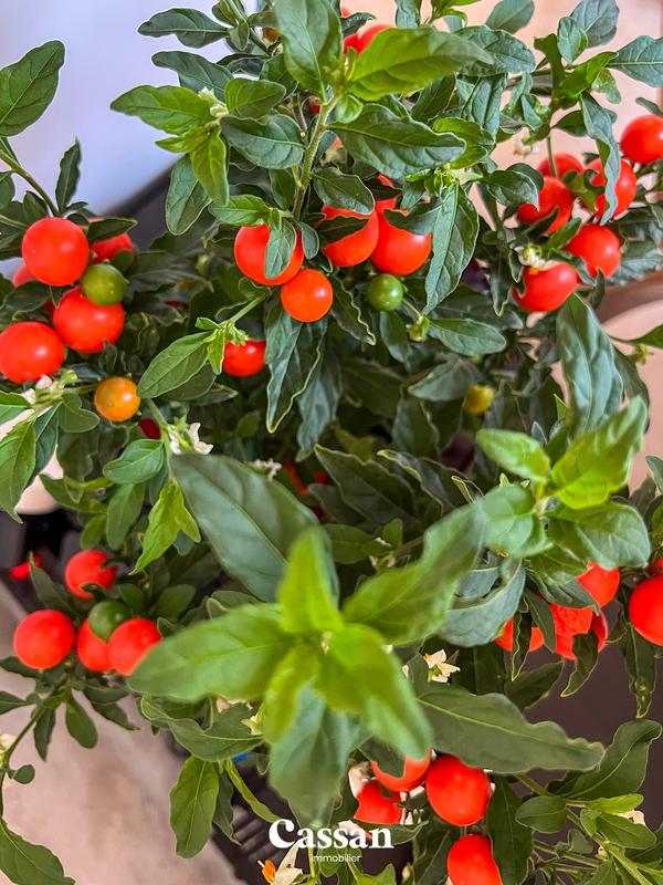 Maison - 98 m² - 6 pièces