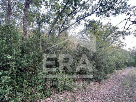 Terrain - 20 020 m²