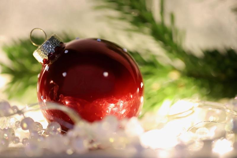 Spectacle : le Noêl de Forêt Merveilles