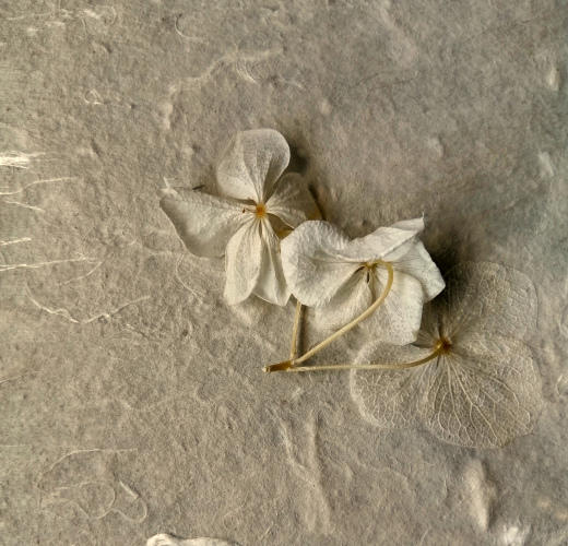 L'atelier du papetier