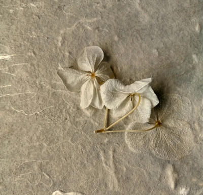 L'atelier du papetier