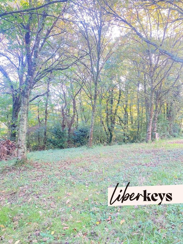 Terrain - 12 800 m²