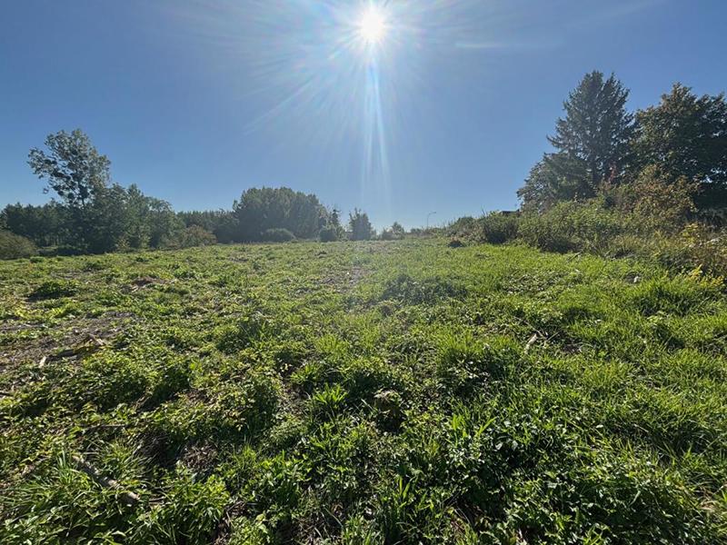 Terrain constructible - 5 500 m²