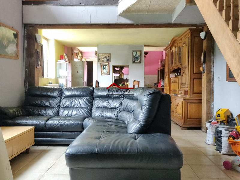 Maison - 300 m² - 14 pièces