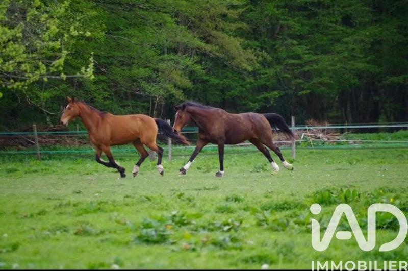 Maison - 370 m² - 14 pièces