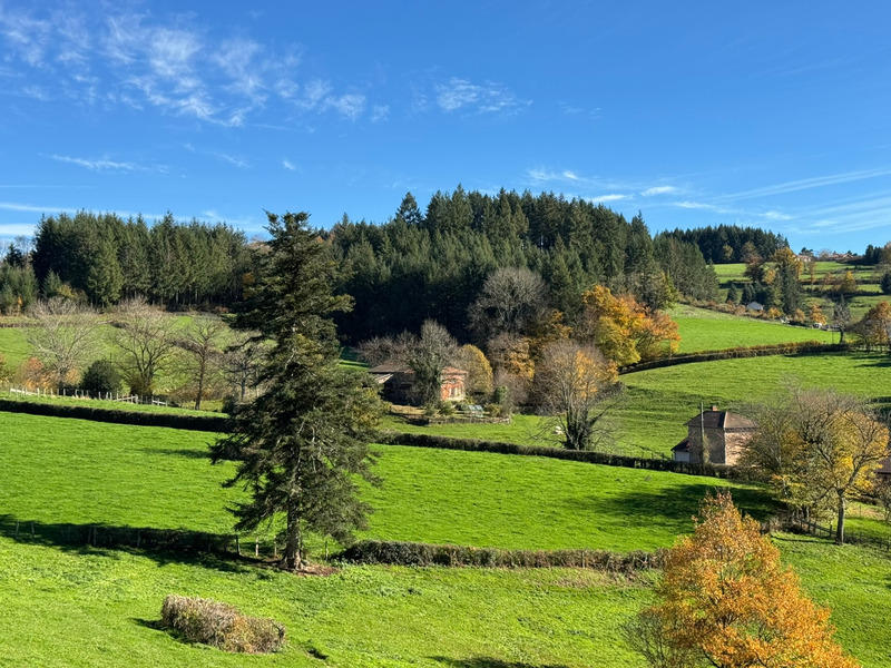 Maison - 216 m² - 7 pièces