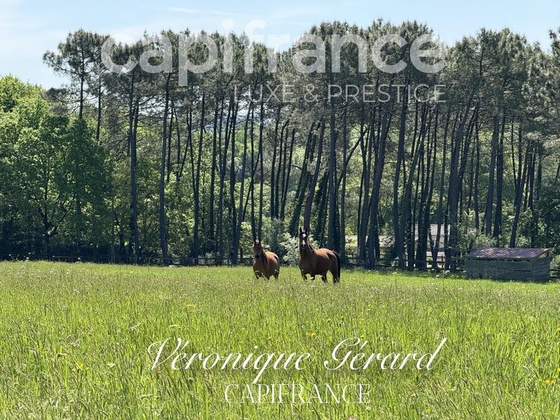 Haras - 187 m² - 7 pièces