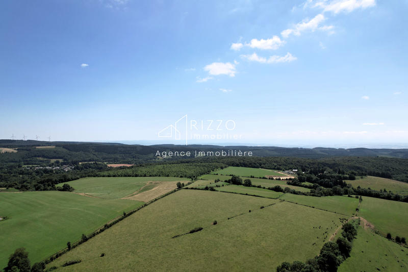 Ferme - 545 m² - 9 pièces