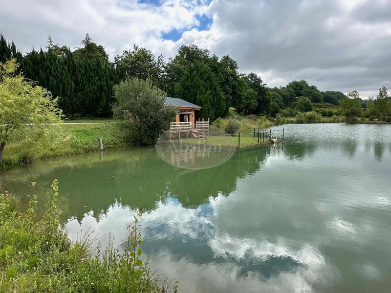 Château - 1 000 m² - 30 pièces