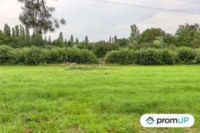 Terrain de loisirs - 874 m²