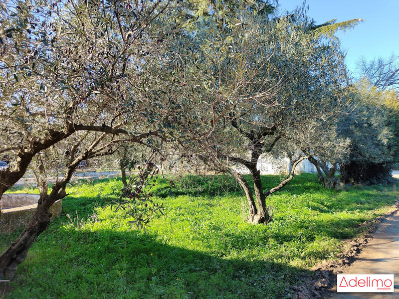 Mas - 1 582 m² - 15 pièces