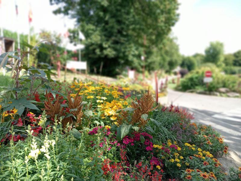 Flower Power : Jardin du partage et émotion