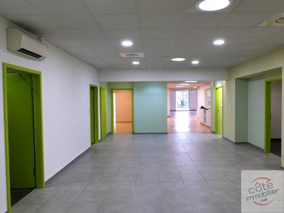 Local d'activités - 561 m²