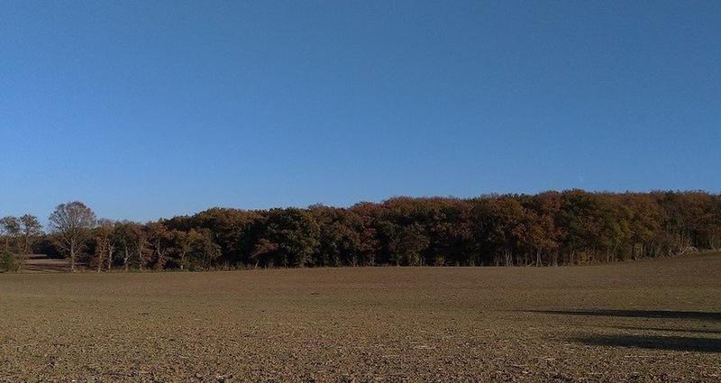 Terrain - 810 000 m²