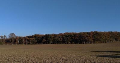 Terrain - 810 000 m²