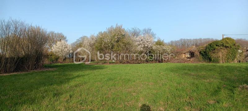Terrain - 2 488 m²