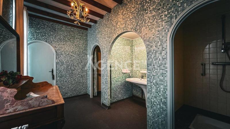 Maison bourgeoise - 352 m² - 9 pièces