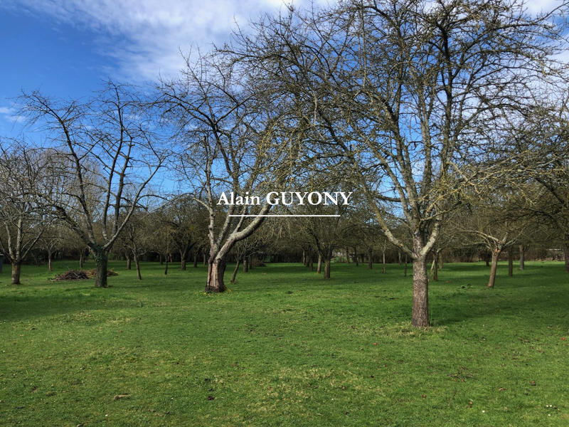 Maison contemporaine - 100 m² - 5 pièces