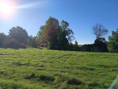 Terrain agricole - 9 582 m²